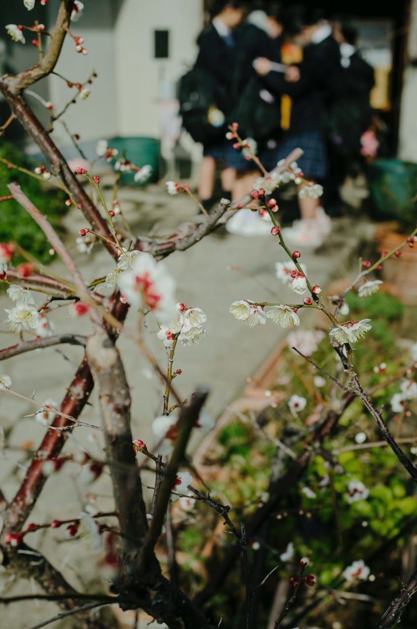 Превью Tokyo 2024